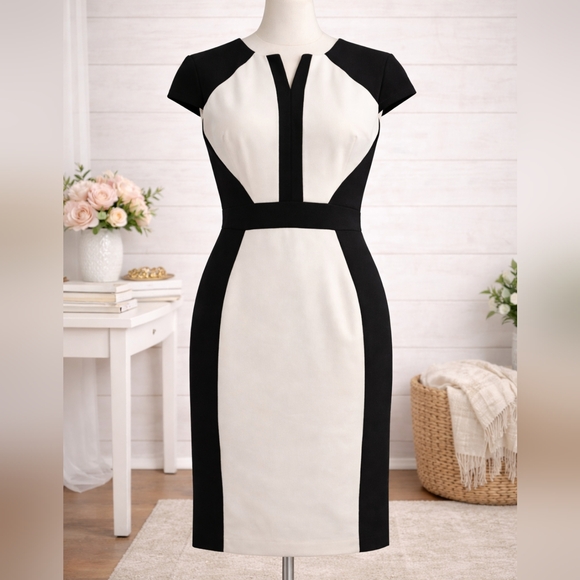 Cache Dresses & Skirts - CACHE COLORBLOCK DRESS VINTAGE